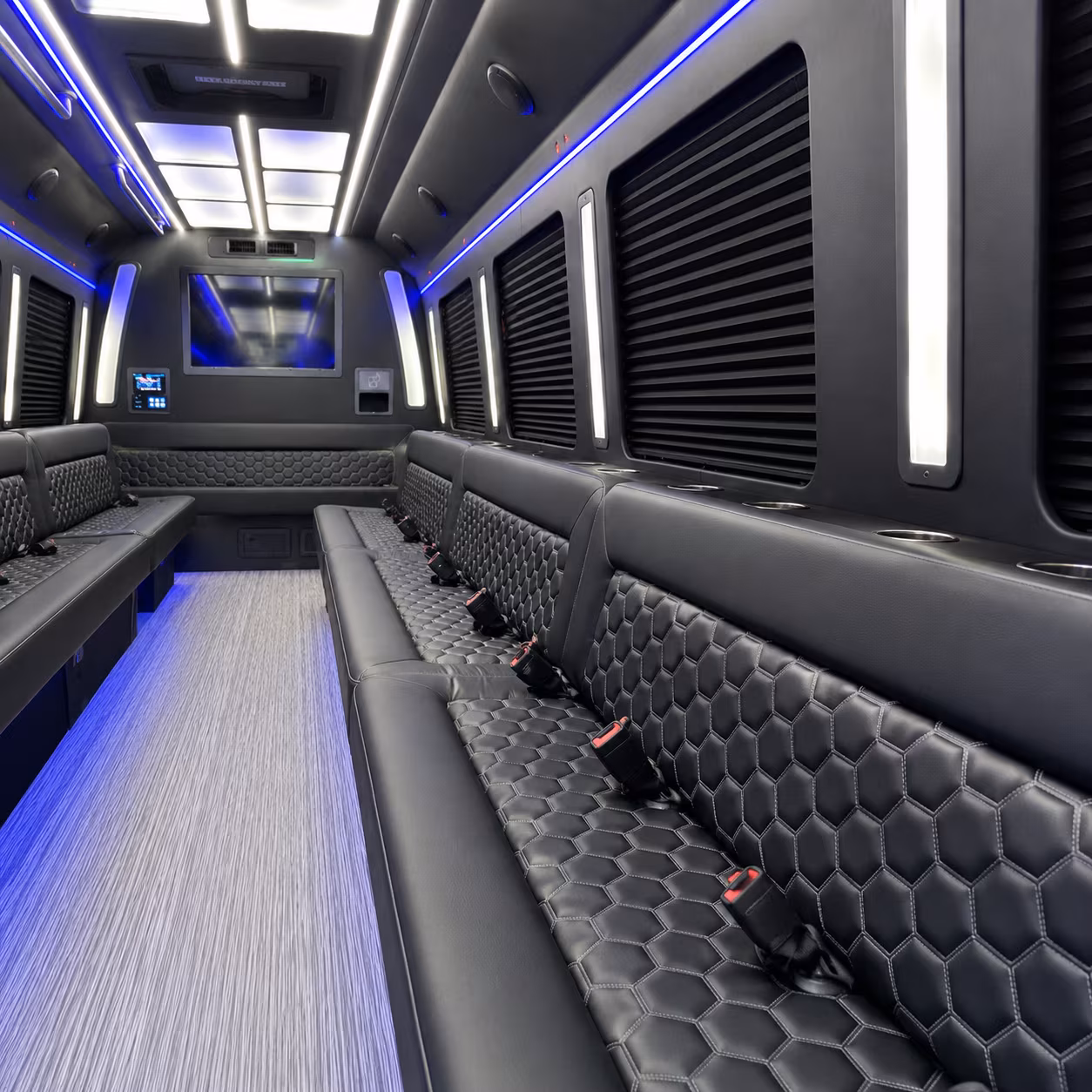 night on town party bus rental